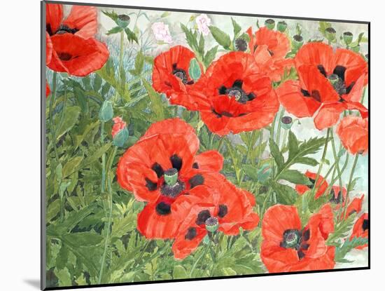 Poppies-Linda Benton-Mounted Giclee Print
