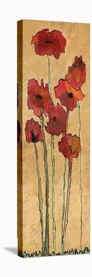 Poppies-Karen Williams-Stretched Canvas