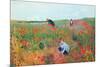 Poppies-Mary Cassatt-Mounted Art Print