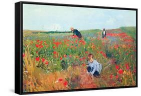 Poppies-Mary Cassatt-Framed Stretched Canvas