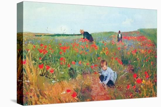 Poppies-Mary Cassatt-Stretched Canvas