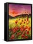 Poppies-Pol Ledent-Framed Stretched Canvas