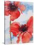 Poppies-Joan Thewsey-Stretched Canvas