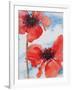 Poppies-Joan Thewsey-Framed Giclee Print