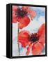 Poppies-Joan Thewsey-Framed Stretched Canvas