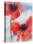 Poppies-Joan Thewsey-Stretched Canvas