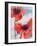 Poppies-Joan Thewsey-Framed Giclee Print