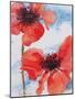 Poppies-Joan Thewsey-Mounted Giclee Print