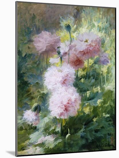 Poppies-Achille Theodore Cesbron-Mounted Giclee Print