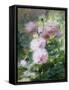 Poppies-Achille Theodore Cesbron-Framed Stretched Canvas