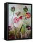 Poppies-jocasta shakespeare-Framed Stretched Canvas