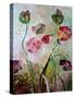 Poppies-jocasta shakespeare-Stretched Canvas