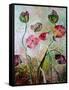 Poppies-jocasta shakespeare-Framed Stretched Canvas