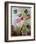 Poppies-jocasta shakespeare-Framed Giclee Print