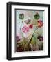 Poppies-jocasta shakespeare-Framed Giclee Print