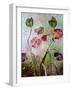 Poppies-jocasta shakespeare-Framed Giclee Print