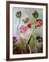 Poppies-jocasta shakespeare-Framed Giclee Print