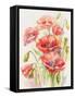 Poppies-ZPR Int’L-Framed Stretched Canvas