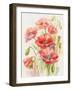 Poppies-ZPR Int’L-Framed Giclee Print