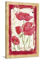 Poppies-Maria Trad-Stretched Canvas