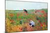 Poppies-Mary Cassatt-Mounted Art Print