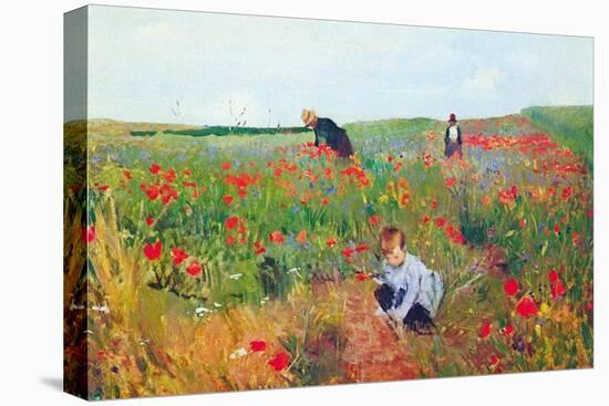 Poppies-Mary Cassatt-Stretched Canvas