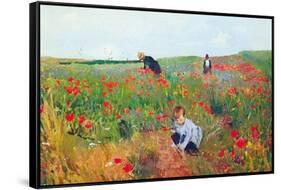 Poppies-Mary Cassatt-Framed Stretched Canvas