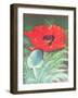 Poppies-Margo Starkey-Framed Giclee Print