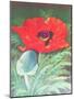 Poppies-Margo Starkey-Mounted Giclee Print