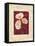 Poppies-John Seba-Framed Stretched Canvas