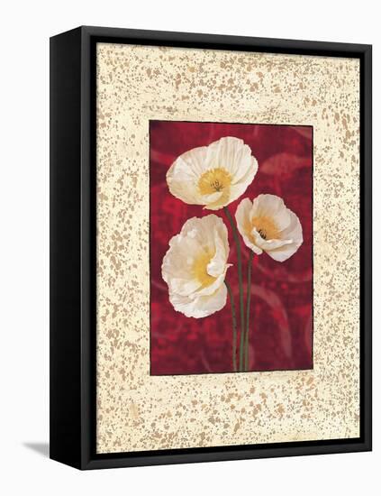 Poppies-John Seba-Framed Stretched Canvas