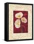 Poppies-John Seba-Framed Stretched Canvas