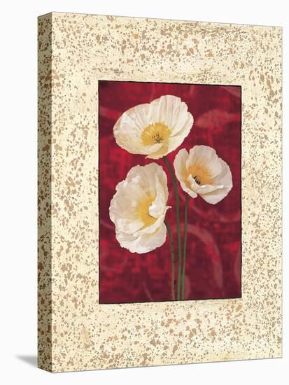 Poppies-John Seba-Stretched Canvas