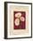 Poppies-John Seba-Framed Art Print