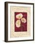 Poppies-John Seba-Framed Art Print