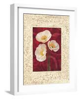 Poppies-John Seba-Framed Art Print