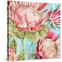 Popping King Protea I-Alex Black-Stretched Canvas