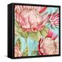 Popping King Protea I-Alex Black-Framed Stretched Canvas