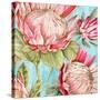 Popping King Protea I-Alex Black-Stretched Canvas