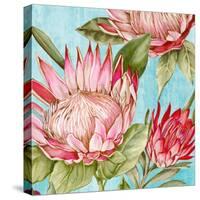 Popping King Protea II-Alex Black-Stretched Canvas