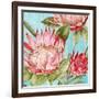 Popping King Protea II-Alex Black-Framed Art Print