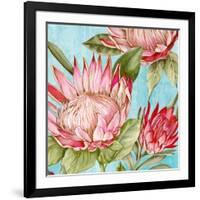 Popping King Protea II-Alex Black-Framed Art Print