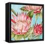 Popping King Protea II-Alex Black-Framed Stretched Canvas