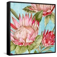 Popping King Protea II-Alex Black-Framed Stretched Canvas