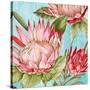 Popping King Protea II-Alex Black-Stretched Canvas