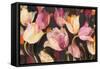 Popping Tulips-Albena Hristova-Framed Stretched Canvas