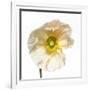 Poppy 04-Wiff Harmer-Framed Giclee Print