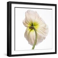 Poppy 05-Wiff Harmer-Framed Giclee Print