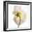 Poppy 05-Wiff Harmer-Framed Giclee Print