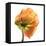 Poppy 10-Wiff Harmer-Framed Stretched Canvas